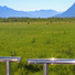 Wilderness Express viewing platform north of Anchorage. 