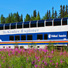 The McKinley Explorer and fireweed near Fairbanks. 